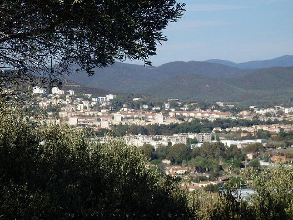 183 HYERES ET SES PALMIERS D15_000024.jpg